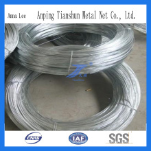 China Factory Hot DIP & Good Quality Galvanized Wire
